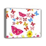 Butterfly Beauty Deluxe Canvas 14  x 11  (Framed)