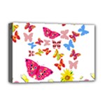 Butterfly Beauty Deluxe Canvas 18  x 12  (Framed)