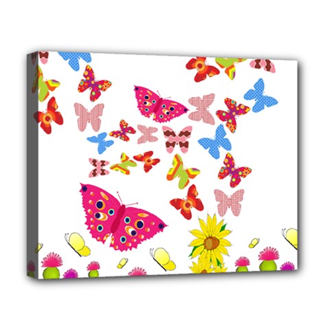 Butterfly Beauty Deluxe Canvas 20  x 16  (Framed) from ArtsNow.com