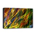 Deluxe Canvas 18  x 12  (Stretched) 