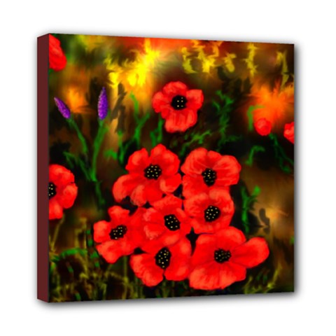 Poppies