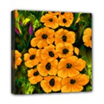 Yellow Poppies - Ave Hurley - Mini Canvas 8  x 8  (Stretched)