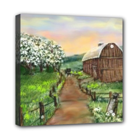 Amish Apple Blossoms