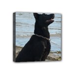 Black German Shepherd Mini Canvas 4  x 4  (Framed)