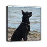 Black German Shepherd Mini Canvas 6  x 6  (Framed)