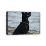 Black German Shepherd Mini Canvas 6  x 4  (Framed)