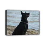 Black German Shepherd Mini Canvas 7  x 5  (Framed)