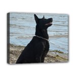 Black German Shepherd Canvas 10  x 8  (Framed)