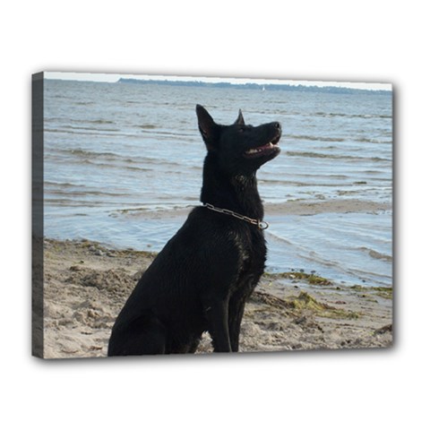 Black German Shepherd Canvas 16  x 12  (Framed) from ArtsNow.com