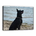 Canvas 16  x 12  (Stretched) 