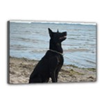 Black German Shepherd Canvas 18  x 12  (Framed)