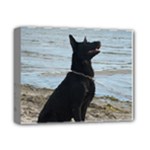 Black German Shepherd Deluxe Canvas 14  x 11  (Framed)