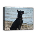 Black German Shepherd Deluxe Canvas 16  x 12  (Framed) 