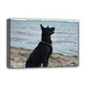 Deluxe Canvas 18  x 12  (Stretched) 