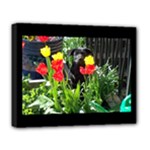 Black GSD Pup Deluxe Canvas 20  x 16  (Framed)