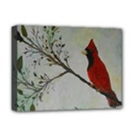 Sweet Red Cardinal Deluxe Canvas 16  x 12  (Framed) 