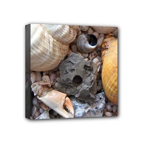 Beach Treasures Mini Canvas 4  x 4  (Framed) from ArtsNow.com