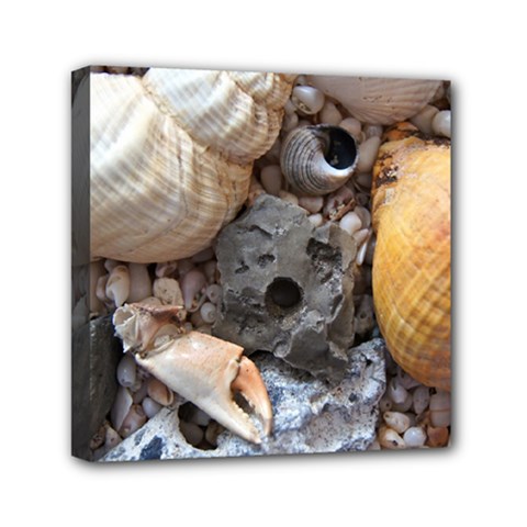 Beach Treasures Mini Canvas 6  x 6  (Framed) from ArtsNow.com