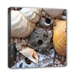 Beach Treasures Mini Canvas 8  x 8  (Framed)