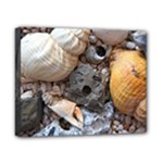 Beach Treasures Canvas 10  x 8  (Framed)