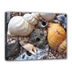 Beach Treasures Canvas 16  x 12  (Framed)