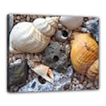 Beach Treasures Canvas 20  x 16  (Framed)