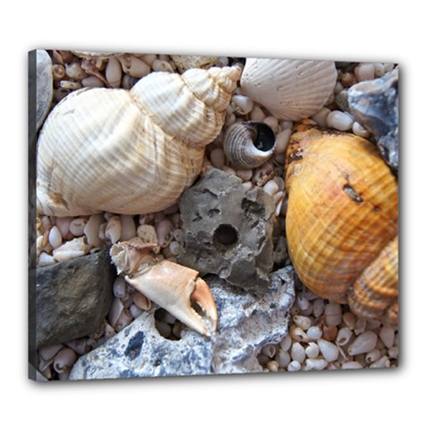 Beach Treasures Canvas 24  x 20  (Framed) from ArtsNow.com