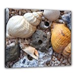 Beach Treasures Canvas 24  x 20  (Framed)