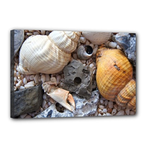 Beach Treasures Canvas 18  x 12  (Framed) from ArtsNow.com