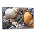 Beach Treasures Canvas 18  x 12  (Framed)