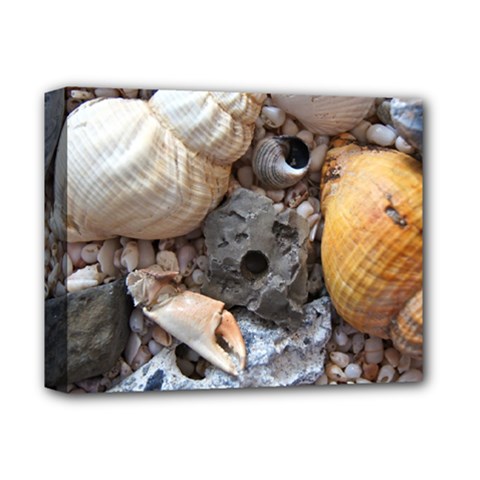 Beach Treasures Deluxe Canvas 14  x 11  (Framed) from ArtsNow.com