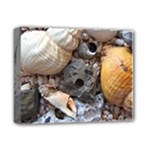 Beach Treasures Deluxe Canvas 14  x 11  (Framed)