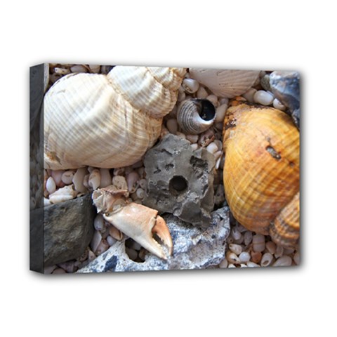 Beach Treasures Deluxe Canvas 16  x 12  (Framed)  from ArtsNow.com