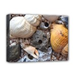 Beach Treasures Deluxe Canvas 16  x 12  (Framed) 