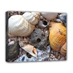 Beach Treasures Deluxe Canvas 20  x 16  (Framed)