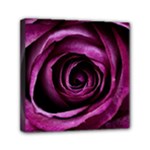 Deep Purple Rose Mini Canvas 6  x 6  (Framed)
