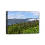 Newfoundland Mini Canvas 6  x 4  (Framed)