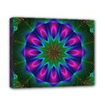 Star Of Leaves, Abstract Magenta Green Forest Canvas 10  x 8  (Framed)