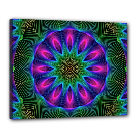 Star Of Leaves, Abstract Magenta Green Forest Canvas 20  x 16  (Framed) from ArtsNow.com