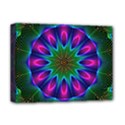 Deluxe Canvas 16  x 12  (Stretched)  