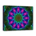 Deluxe Canvas 20  x 16  (Stretched) 