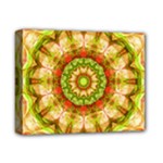 Red Green Apples Mandala Deluxe Canvas 14  x 11  (Framed)