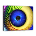 Deluxe Canvas 20  x 16  (Stretched) 