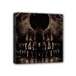 Skull Poster Background Mini Canvas 4  x 4  (Framed)