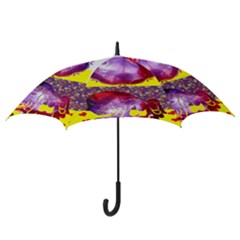 Hook Handle Umbrella (Large) 