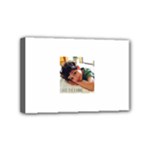 Pastedgraphic 3 Mini Canvas 6  x 4  (Stretched)