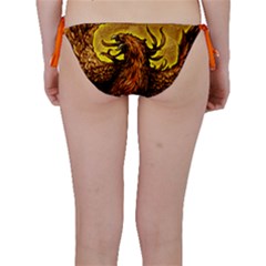 Bikini Bottoms 
