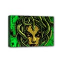 Mini Canvas 6  x 4  (Stretched) 