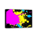 Mini Canvas 6  x 4  (Stretched) 