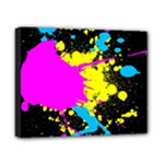Splatter Canvas 10  x 8  (Stretched)